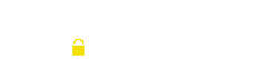 CyberLSI